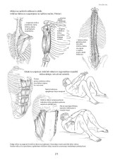 Blandine Calais-Germain: Anatomija gibanja